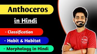 Anthoceros - Systematic position | Classification | Habitat and Morphology in Hindi | By Bioaman 01