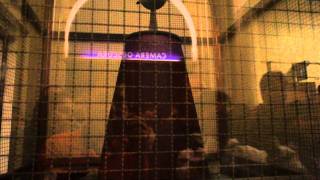 Griffith Observatory Tesla Coil -500000 Volts record with Sony NEX-5 16mm lens 1080i 60fps AVCHD