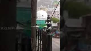 Gareeb Nawaz ki karamat Marbel ki( Gaye. cow 🐂) Doodt nikalte hue, MUJEEB ALi RaZVi saheb