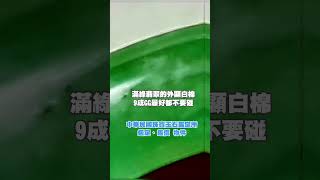 滿綠翡翠如果出現外顯白棉，9成GG，最好都不要碰 😍 #今日鑑定物件 #中華民國珠寶玉石鑑定所 #好奇 #想知道 #珠寶 #玉石 #翡翠 #jade #熱門 #寶石 #價格 #猜猜看 #珍珠