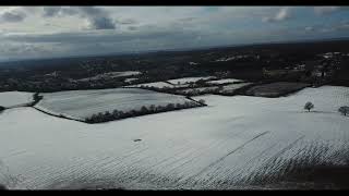 DJI @ UK Epping Forest / Theydon Bois