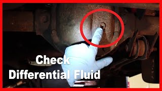 How to Check your Differential Fluid