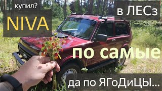 LADA Niva Legend.НИВА ОБЗОР.ПО ЛЕСНОЙ ДОРОГЕ на ЛАДЕ NIVA за ЯГОДАМИ.МОЯ ЯГОДКА НИВА ЛЕГЕНДА ОТЗЫВ.