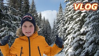 Лес ЗИМОЙ сказочно красив! 🌲❄️ ВЛОГ Супер Тима и семья Супер Фемели!