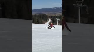 Esk8/snowboard carving