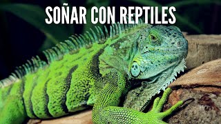 Que Significa Soñar con Reptiles - Significado de Soñar con un Reptil