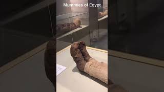 Say somenthing 📜😳💀 #history #ancientegypt #egyptianpharaoh #googleearth #mummy #ancient #egypt 🇪🇬