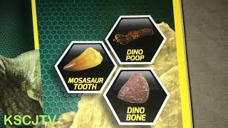 KSCJTV Dino fossil dig kit