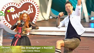 Die Draufgänger & Hannah - Hallo kleine Maus -  | ZDF Fernsehgraten, 29.09.2024