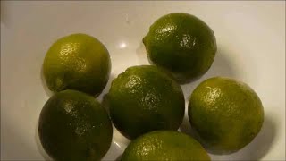 How to Dehydrate Limes