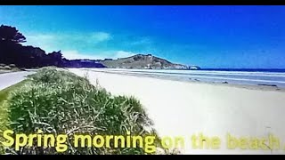 spring morning on the beach, CLICK on picture to play video.