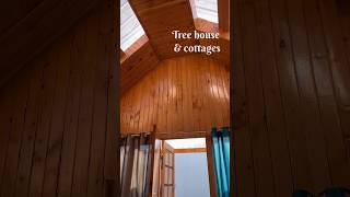 Treehouse || woodencottages || livemusic ||bonfire || itna kuch pahado me