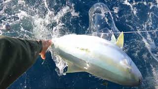 Fishing Trip Hauraki Gulf