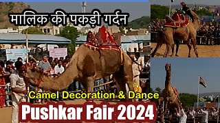 पुष्कर मेले में नाचते नाचते ऊट ने पकड़ ली मालिक की गर्दन । Camel Dance Pushkar Fair | Cattle Fair