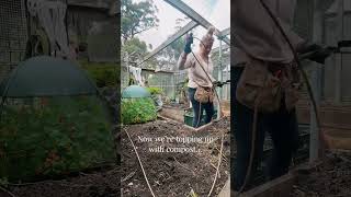 Prepping the veggie patch ready for winter planting!