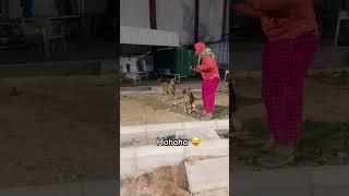 😝 #shorts #viral #funnyvideo #comedy #funny #shortsvideo #trending # #animal