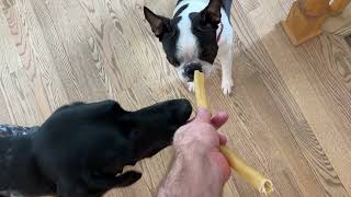 RedBarn Beef Collagen Sticks for Dogs - My Review