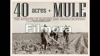 film om 40 acres. YEKTA HAMZA UMUT KIA