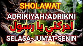 SELASA - JUMAT- SENIN : Shalawat Khitab-Sholawat Adrikni - Sholawat adrikiyah