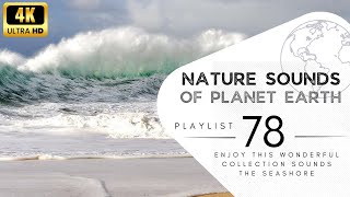 2 hours of pleasant natural sounds - The seashore.