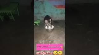 Cats lover status🥺| Main Zinda Hu Lekin Kha Zindagi Hai #shorts #trending #viral #cat #hungrycat #yt