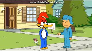 Pocoyo Annoys Woody Woodpecker/Grounded