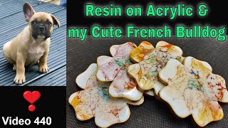 Using Resin on Top of Acrylic Coasters and Cute French Bulldog