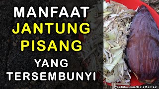 Manfaat Jantung Pisang | Khasiat Jantung Pisang Untuk Kesehatan Yang Tersembunyi