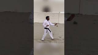 Shito-ryu ippon kumite#shitoryu #shitoryukarate