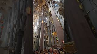 Inside the Sagrada Familia - Barcelona, Spain