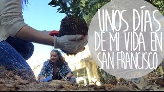 Unos días en mi vida en San Francisco |Vlog 31