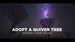 Adopt a Quiver Tree - Seeds of Hope