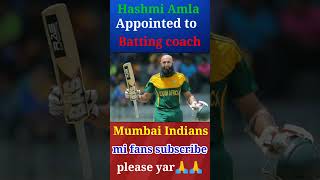 hashmi amla appointed to batting coach mumbai indians