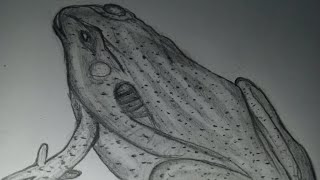 how to draw a frog.... beginner tips ( step by step drowning a frog)