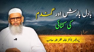 Badal Barish or Gandam ke Katai by Prof. Dr. Khalid Zafar Ullah