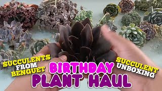 MY BIRTHDAY PLANT HAUL! | SUCCULENTS I GOT FOR MY BIRTHDAY | By Intri's TV