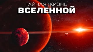 Сборник - Звезды и космос. Новая жизнь Вселенной [Третий сезон. Эпизод 7]