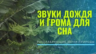 Звуки дождя и грома для сна, Расслабляющие звуки природы