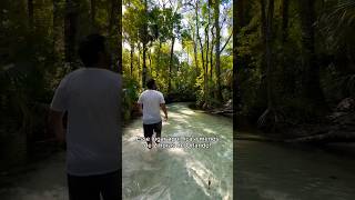 Está em Orlando e quer explorar mais da Flórida? Ocala é um destino perfeito para uma escapada!