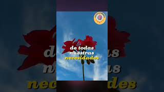 la palabra de Cristo more en abundancia en vosotros. #shortvideo  #cielo #jehova #Dios #paz #jesus