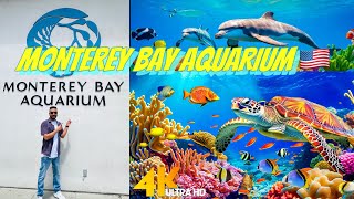 [4k]Monterey Bay Aquarium At USA 🇺🇸 🐠🦑 | Long Beach California aquarium 🦑 @californiacouple