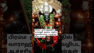 ஆச்சரியமான பலன்கள் கிடைக்க #வார்த்தாளி #srivarahiammanhistoryintamil #varahiamman108potriintamil