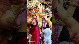 Lalbag cha raja |  #lalbaughcharaja #mumbai #king #raja #ganpatibappamorya #love