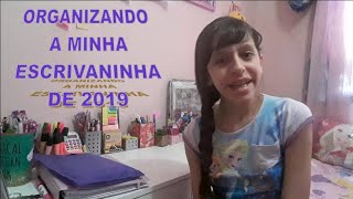 ORGANIZANDO A MINHA ESCRIVANINHA DE 2019