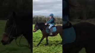 This is vid from a couple months ago #equestrian #horse #equestrianrider