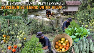 FULL EPISODE HIDUP DI KAMPUNG TERPENCIL TEPI SUNGAI, DIKELILINGI SAYURAN SEGAR UNTUK HIDUP