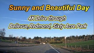 4K drive and sunny day of (Bellevue,Redmond,Sixty Acre Park) | Washington | USA.