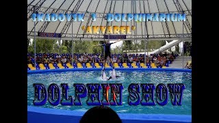 Dolphin show - НЕ ПРОПУСТИТЕ! Шоу в дельфинарии Акварель 25 08 2016