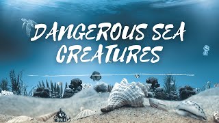 Top 10 Dangerous Sea Creatures #ViralStory #amazingpeople #top10best