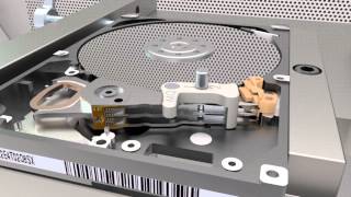 HDDS Sam & Tshb 2.5'' Ramp Set - Animation